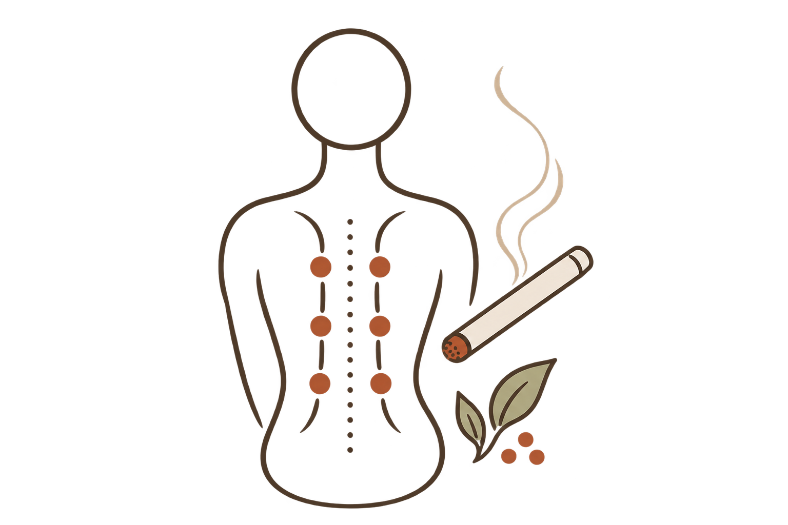 Illustration of moxibustion and cupping points along the back